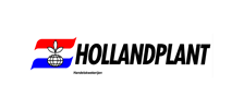 Holland Plant