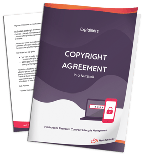 Explainer eBook 3D - Copyright Agreement