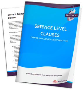 Explainer eBook 3D - Service Level Clauses